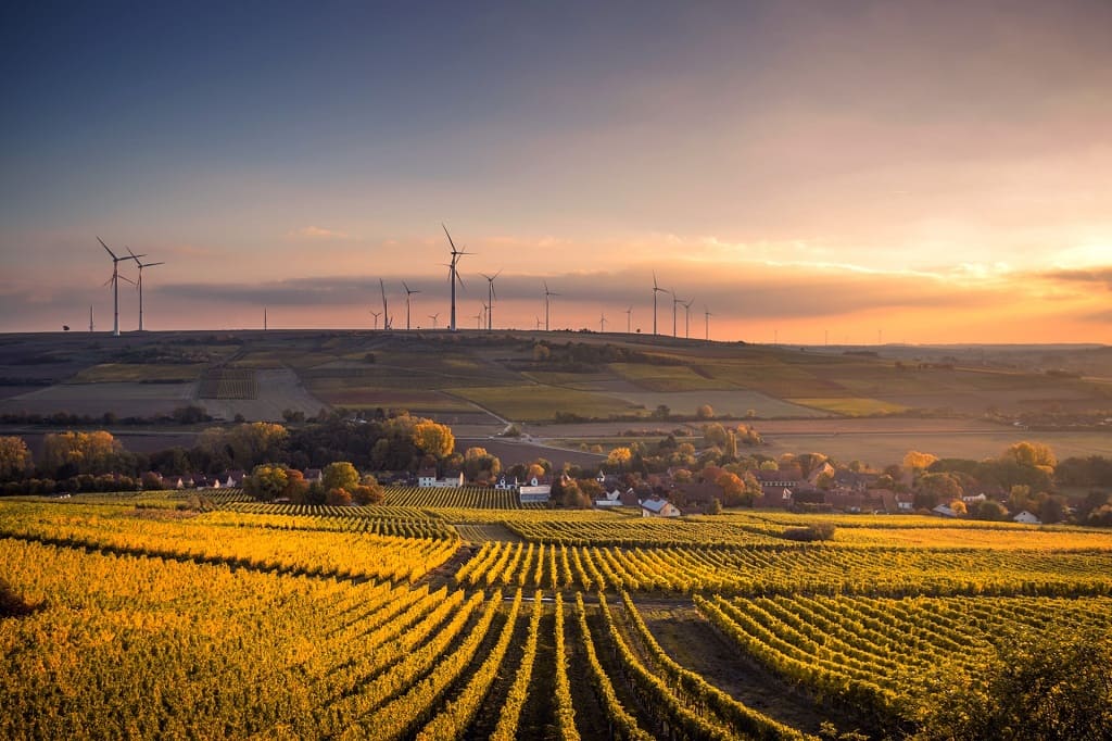GEOGRAMA - 8 applications of GIS in agriculture