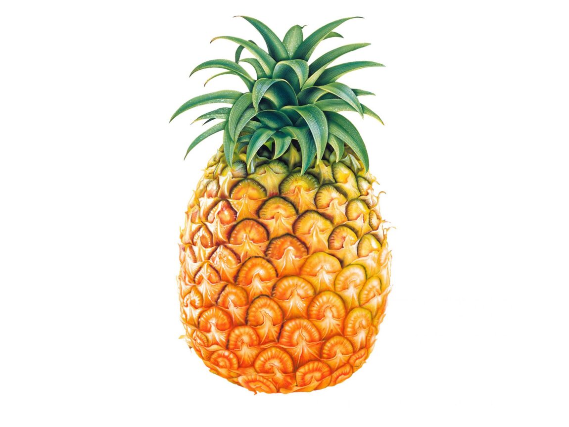 Inspire_pina-scaled