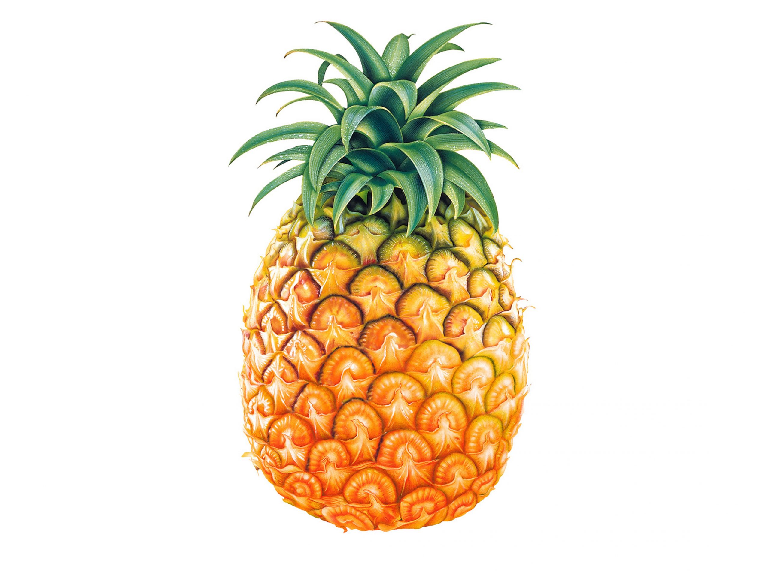 Inspire_pina-scaled